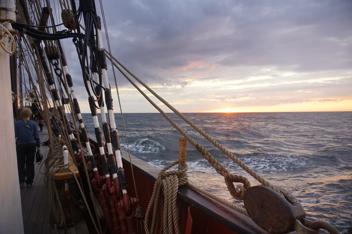 veter i volny - Jugendaustausch zur See (Bergen - Aarhus/Hamburg)